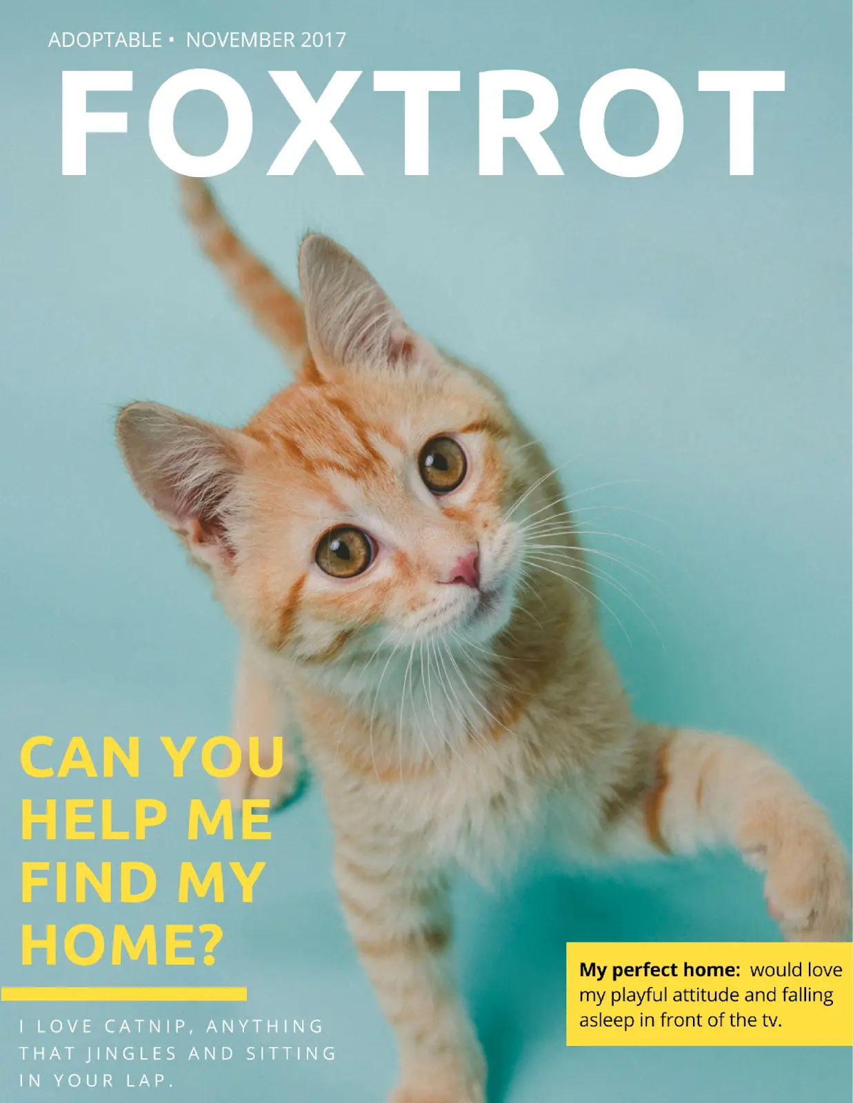 Foxtrot's magazine-cover adoption profile asking for a home