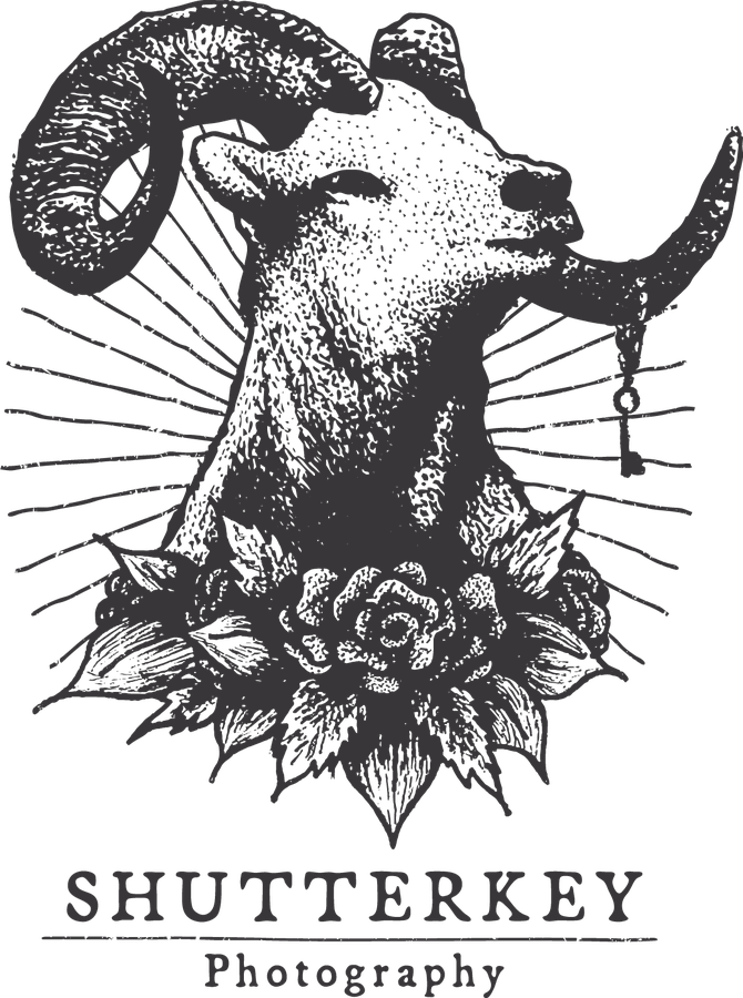 Shutterkey logo