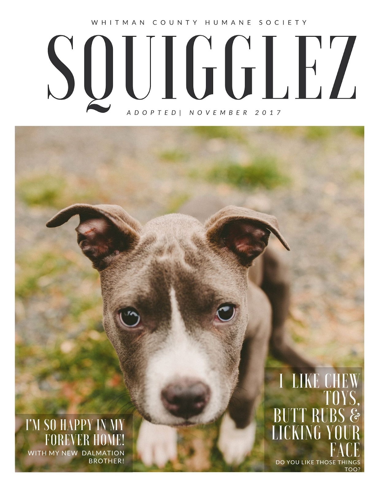 Squigglez's magazine-cover adoption profile with an outdoor portrait
